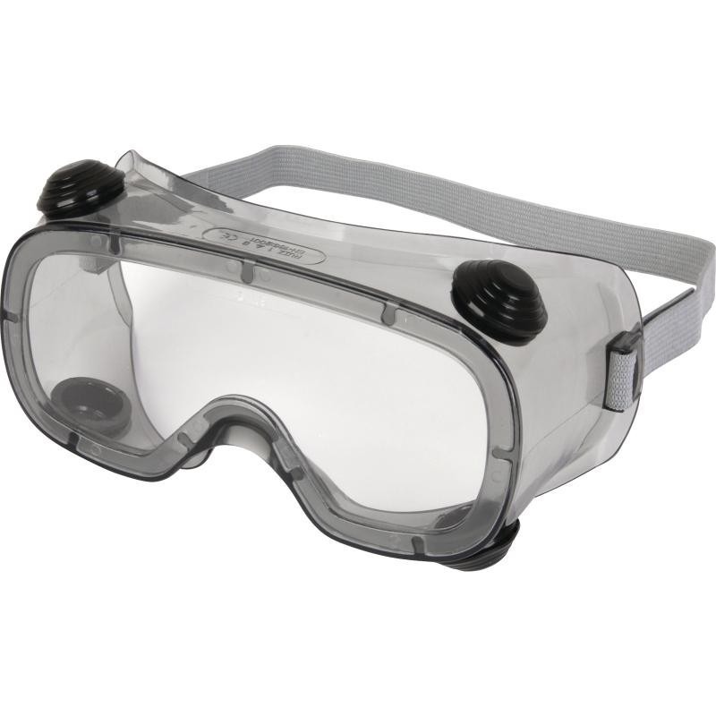 DELTA PLUS CLEAR-LENS SAFETY GOGGLES RUIZ 1