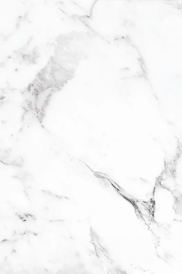 PVC MEGA PANEL CARRARA BIANCO