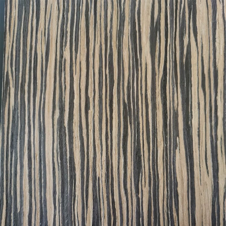 Ebony Lazio