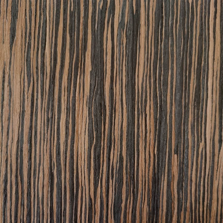 Ebony Parma