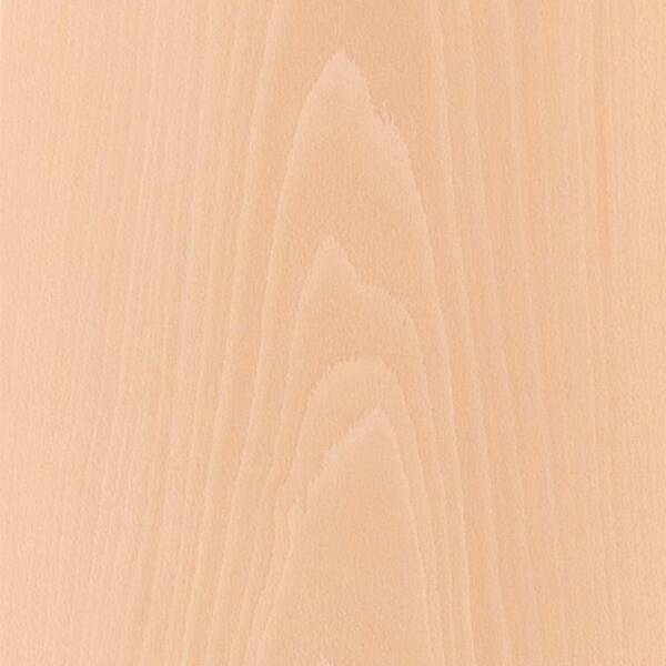 Beech