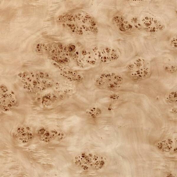 Mappa Burl