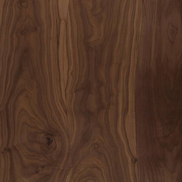 American Walnut