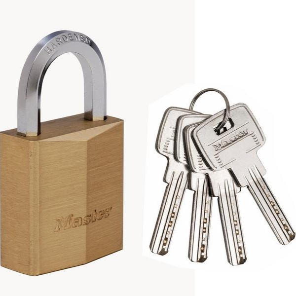 Security Padlocks
