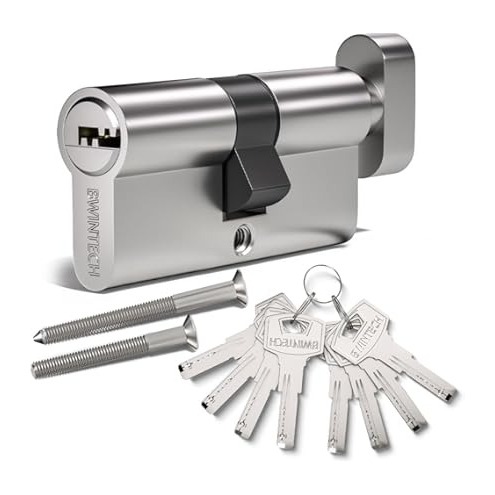 LOCK CYLINDER R6 60MM 30-30 NICKEL 5 KEYS ISEO