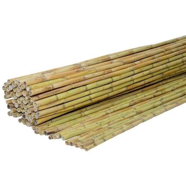 CANE ROLL 20-25MM 200 X 300CM