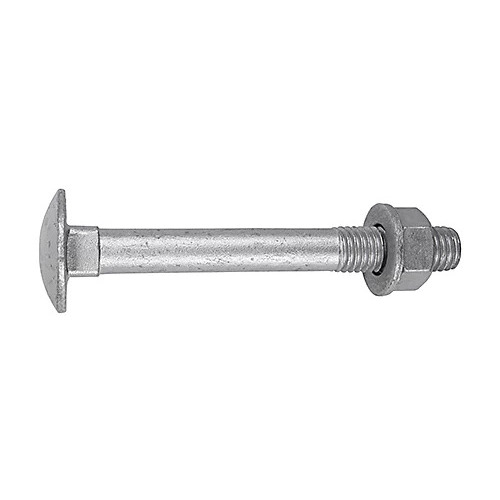 Carriage Bolts